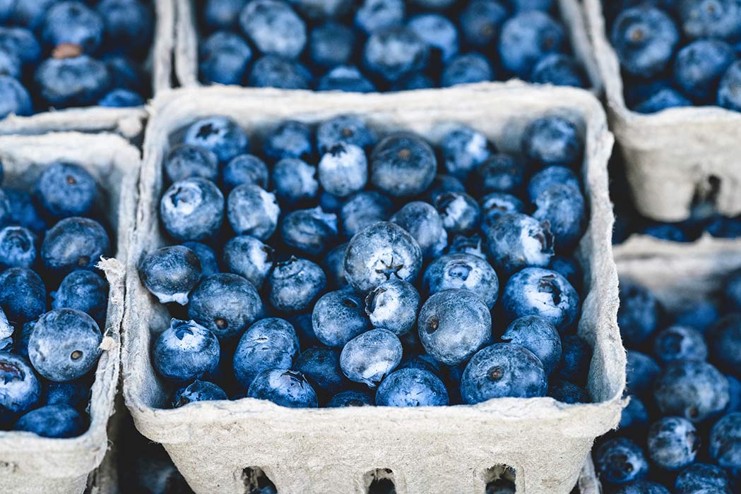 How Blueberries Can Improve Your Health How Blueberries Can Improve Your Health